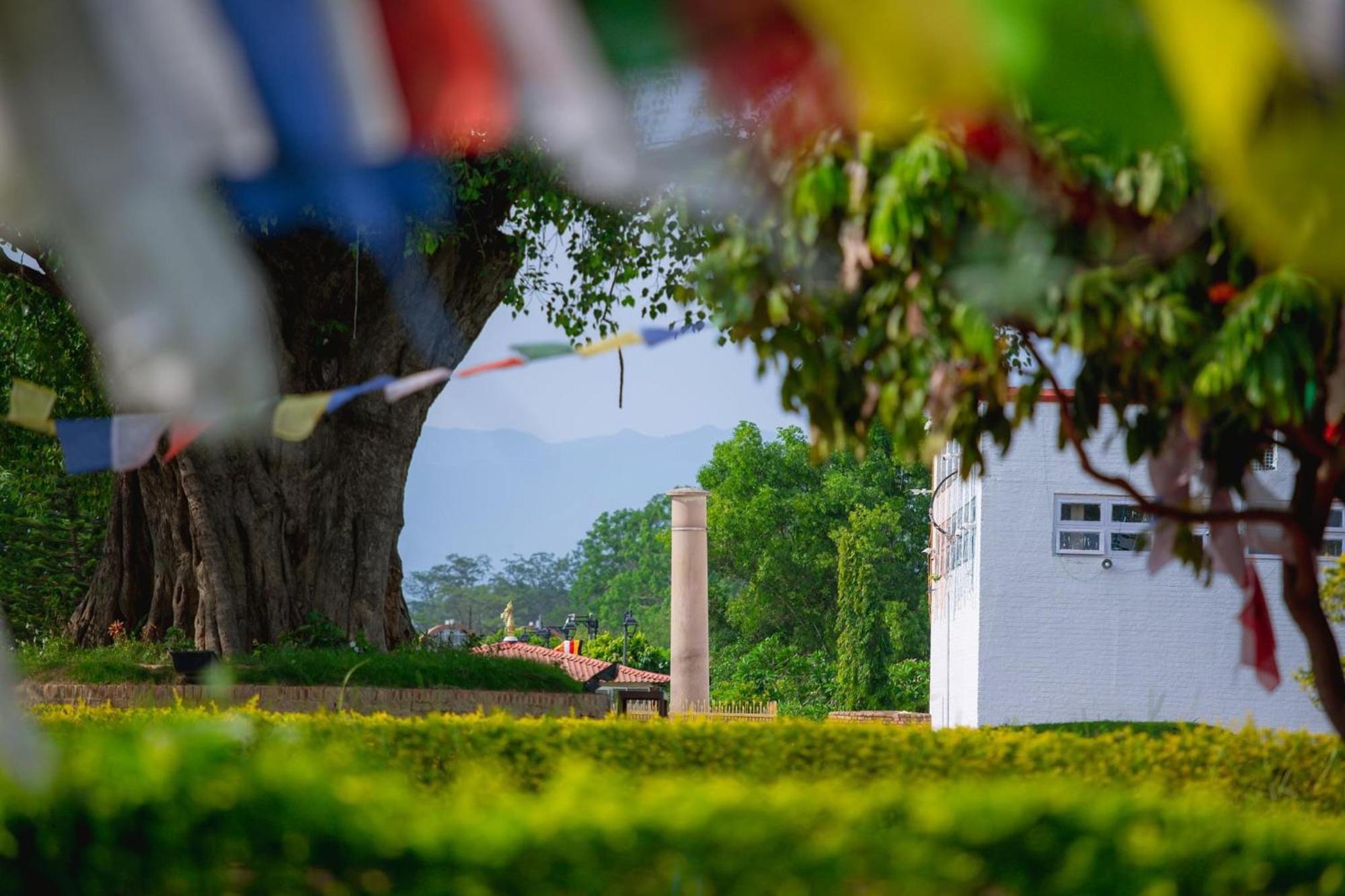 Siddhartha Guest House Rummindei Exterior photo